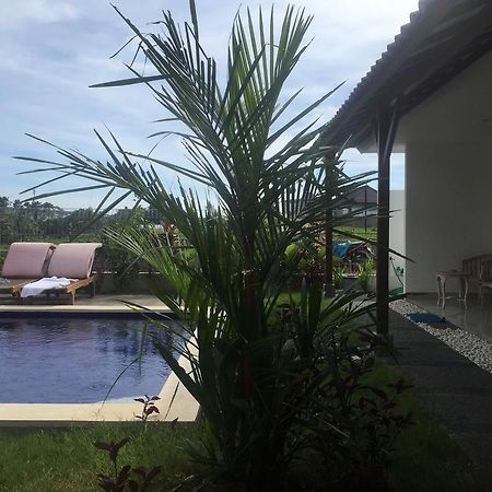 Pererenan Nengah Guest House Canggu Extérieur photo